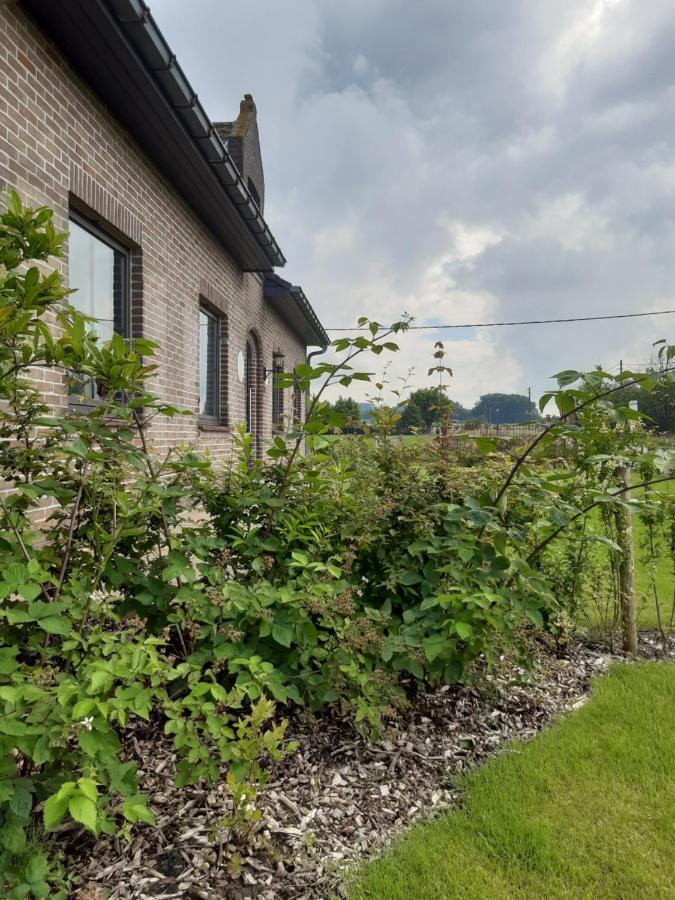 Vakantiehuis Zoetendaal Reningelst Exteriör bild